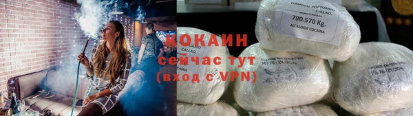 СК Бикин