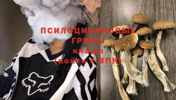 ALPHA-PVP Нефтекумск