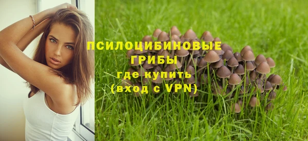 СК Бикин