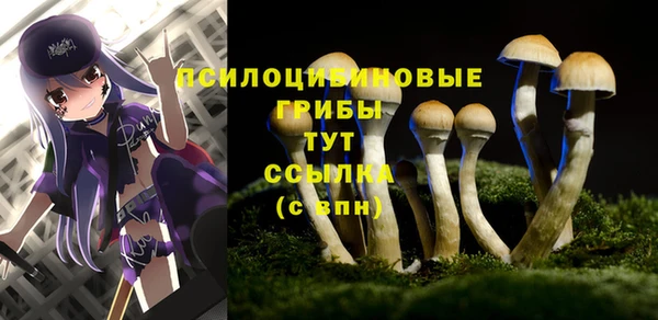 ALPHA-PVP Нефтекумск