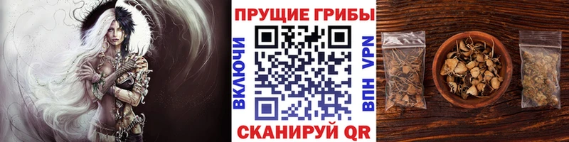 Псилоцибиновые грибы MAGIC MUSHROOMS  Сухиничи 